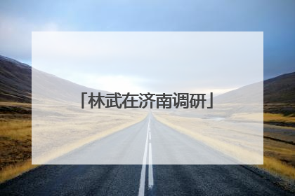 林武在济南调研