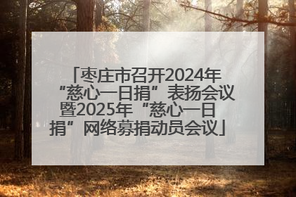 枣庄市召开2024年“慈心一日捐”表扬会议暨2025年“慈心一日捐”网络募捐动员会议