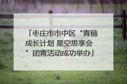 枣庄市市中区“青穗成长计划 星空思享会”团青活动成功举办