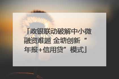 政银联动破解中小微融资难题 金塘创新“年报+信用贷”模式