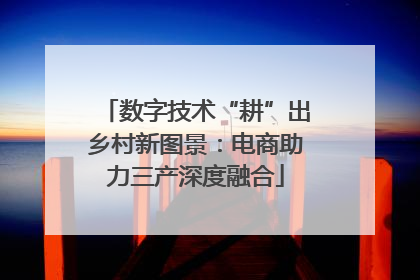 数字技术“耕”出乡村新图景：电商助力三产深度融合