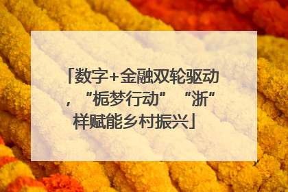 数字+金融双轮驱动，“栀梦行动”“浙”样赋能乡村振兴