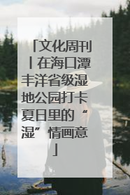 文化周刊丨在海口潭丰洋省级湿地公园打卡夏日里的“湿”情画意