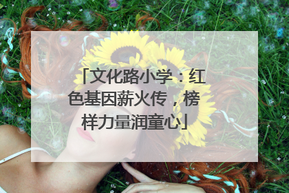 文化路小学：红色基因薪火传，榜样力量润童心
