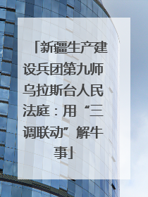 新疆生产建设兵团第九师乌拉斯台人民法庭：用“三调联动”解牛事