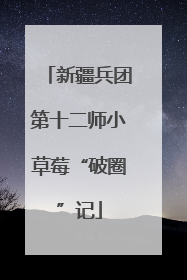 新疆兵团第十二师小草莓“破圈”记
