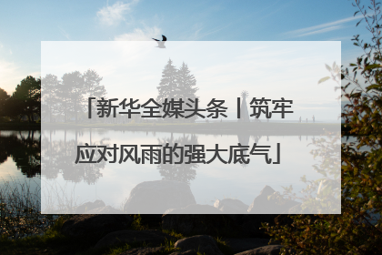 新华全媒头条丨筑牢应对风雨的强大底气