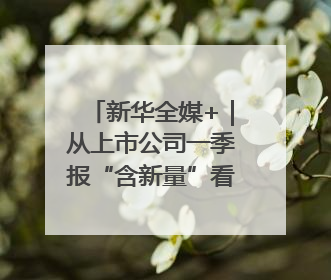 新华全媒+｜从上市公司一季报“含新量”看中国经济发展向“新”