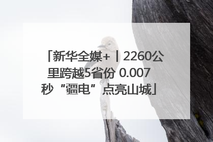 新华全媒+丨2260公里跨越5省份 0.007秒“疆电”点亮山城