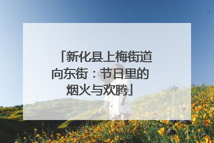 新化县上梅街道向东街：节日里的烟火与欢腾