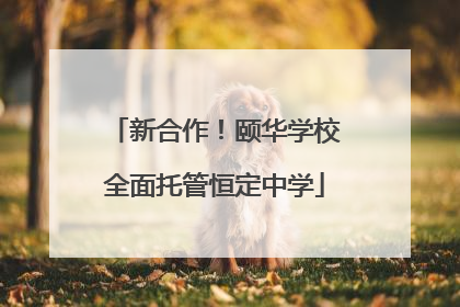 新合作！颐华学校全面托管恒定中学