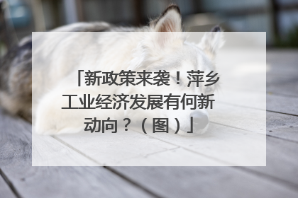 新政策来袭！萍乡工业经济发展有何新动向？（图）