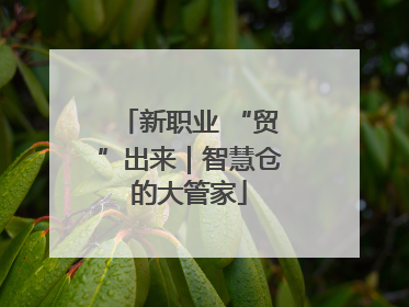新职业 “贸”出来｜智慧仓的大管家