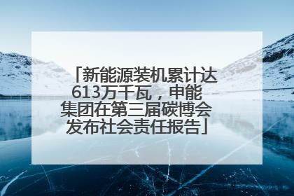 新能源装机累计达613万千瓦，申能集团在第三届碳博会发布社会责任报告