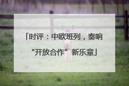时评：中欧班列，奏响“开放合作”新乐章