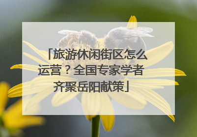 旅游休闲街区怎么运营？全国专家学者齐聚岳阳献策