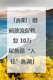 旌阳：增殖放流促修复 10万尾鱼苗“入住”旌湖