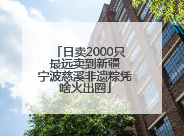 日卖2000只 最远卖到新疆 宁波慈溪非遗粽凭啥火出圈