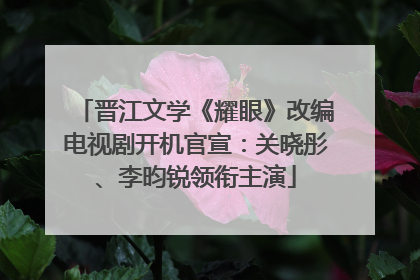 晋江文学《耀眼》改编电视剧开机官宣：关晓彤、李昀锐领衔主演
