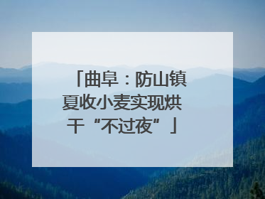 曲阜：防山镇夏收小麦实现烘干“不过夜”