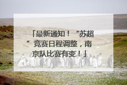 最新通知！“苏超”竞赛日程调整，南京队比赛有变！