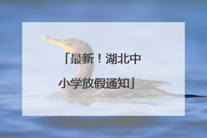 最新！湖北中小学放假通知