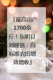 最高亩产1700余斤！东明县刘楼镇：高标准农田增效增收