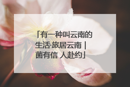 有一种叫云南的生活·旅居云南｜菌有信 人赴约