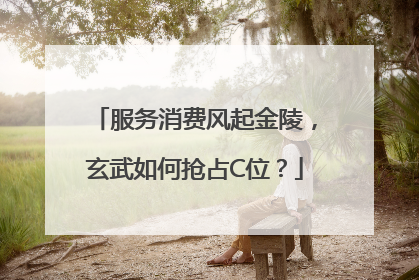 服务消费风起金陵，玄武如何抢占C位？