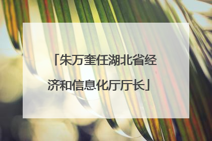 朱万奎任湖北省经济和信息化厅厅长
