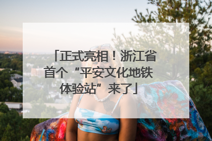 正式亮相！浙江省首个“平安文化地铁体验站”来了
