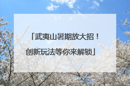 武夷山暑期放大招！创新玩法等你来解锁