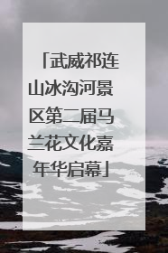 武威祁连山冰沟河景区第二届马兰花文化嘉年华启幕