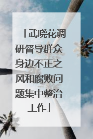 武晓花调研督导群众身边不正之风和腐败问题集中整治工作