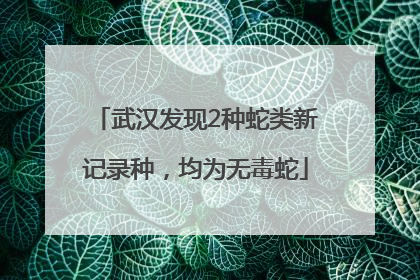 武汉发现2种蛇类新记录种，均为无毒蛇
