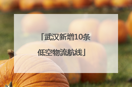 武汉新增10条低空物流航线