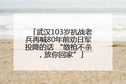 武汉103岁抗战老兵再喊80年前劝日军投降的话 “缴枪不杀，放你回家”