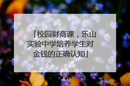 校园财商课，乐山实验中学培养学生对金钱的正确认知