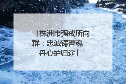 株洲市强戒所向群：忠诚铸警魂 丹心护归途