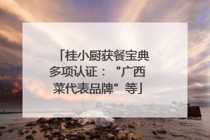 桂小厨获餐宝典多项认证：“广西菜代表品牌”等