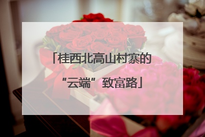 桂西北高山村寨的“云端”致富路