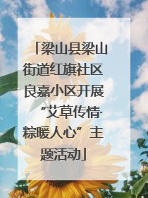 梁山县梁山街道红旗社区良嘉小区开展“艾草传情·粽暖人心”主题活动