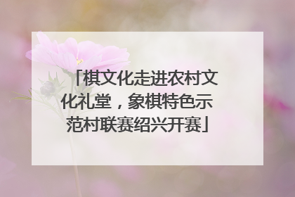 棋文化走进农村文化礼堂，象棋特色示范村联赛绍兴开赛