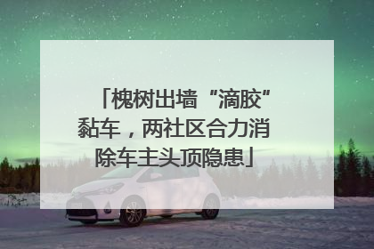 槐树出墙“滴胶”黏车，两社区合力消除车主头顶隐患