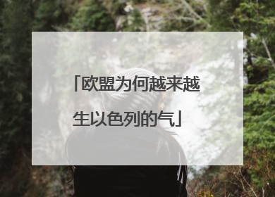 欧盟为何越来越生以色列的气