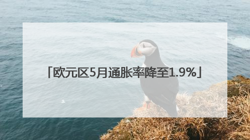 欧元区5月通胀率降至1.9%