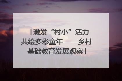 激发“村小”活力 共绘多彩童年——乡村基础教育发展观察