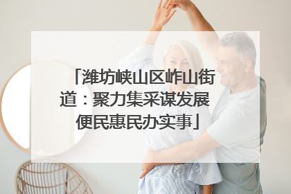 潍坊峡山区岞山街道：聚力集采谋发展 便民惠民办实事