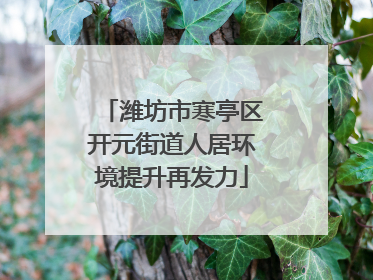 潍坊市寒亭区开元街道人居环境提升再发力