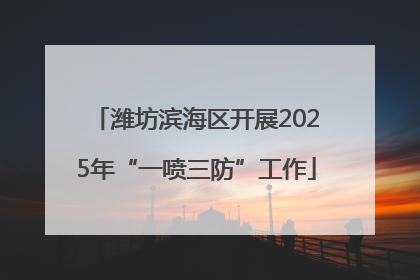 潍坊滨海区开展2025年“一喷三防”工作